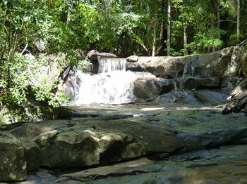 Bellthorpe Stays - Accommodation in Brisbane 27