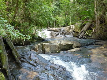 Bellthorpe Stays - Accommodation in Brisbane 29