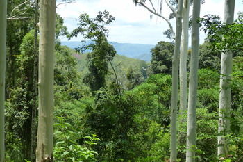 Bellthorpe Stays - Accommodation in Brisbane 31