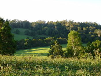 Bellthorpe Stays - Accommodation in Brisbane 32