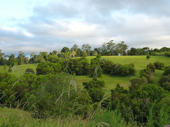 Bellthorpe Stays - Accommodation in Brisbane 34