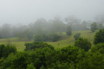 Bellthorpe Stays - Accommodation in Brisbane 35