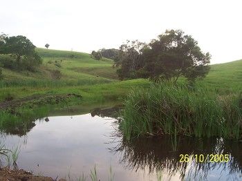 Bellthorpe Stays - Accommodation in Brisbane 39