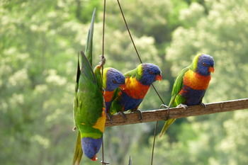 Bellthorpe Stays - Accommodation in Brisbane 43