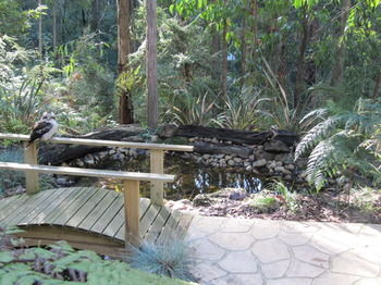 Myers Creek Cascades Luxury Cottages - Accommodation in Brisbane 2