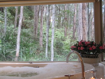 Myers Creek Cascades Luxury Cottages - Accommodation in Brisbane 10