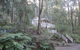 Myers Creek Cascades Luxury Cottages - thumb 14
