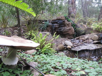 Myers Creek Cascades Luxury Cottages - Accommodation in Brisbane 23