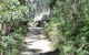 Myers Creek Cascades Luxury Cottages - thumb 24