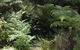 Myers Creek Cascades Luxury Cottages - thumb 41