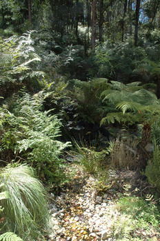 Myers Creek Cascades Luxury Cottages - Accommodation in Brisbane 41
