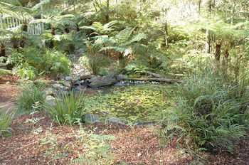 Myers Creek Cascades Luxury Cottages - Accommodation in Brisbane 42