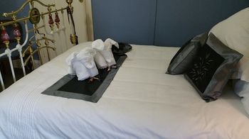 Coppers Hill Private Accommodation - Accommodation in Brisbane 23