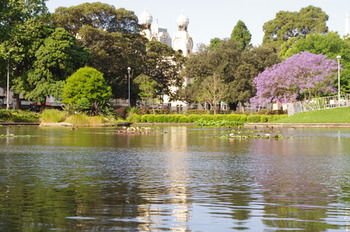 Sydney Space - Accommodation in Brisbane 32