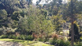 Copeland Cabins - Accommodation in Brisbane 2