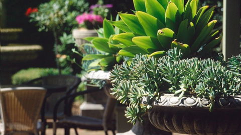 Best Western Plus The Tudor Box Hill - Accommodation in Brisbane 2