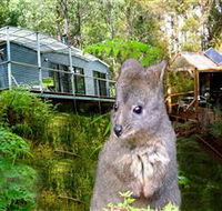 Huon Bush Retreats - Accommodation in Brisbane