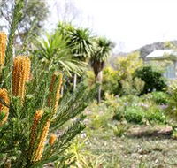 Yooringa Garden Cottage - Accommodation in Brisbane