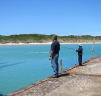 Three Hummock Island Accommodation - Accommodation in Brisbane