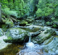 Tarkine Wilderness Experience at Corinna - Accommodation in Brisbane