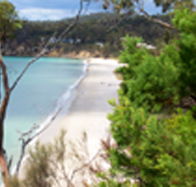 Weilangta Holiday Home - Accommodation in Brisbane