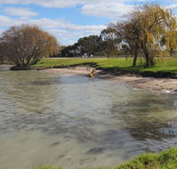 Kangaroo Lake Caravan Park - Accommodation in Brisbane