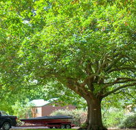 Lakes and Craters Holiday Park - Accommodation in Brisbane
