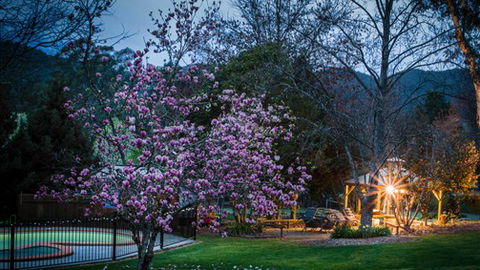Bright Mystic Valley Holiday Units - Accommodation in Brisbane 2