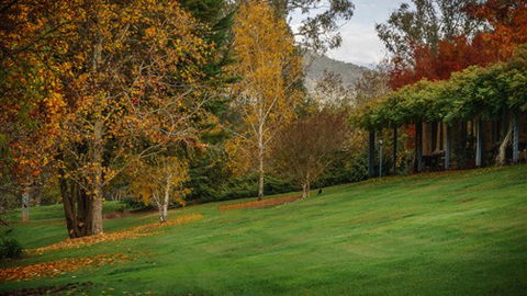 Bright Mystic Valley Holiday Units - Accommodation in Brisbane 7
