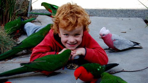 Around About Lorne Studios Or B&B - Accommodation in Brisbane 3