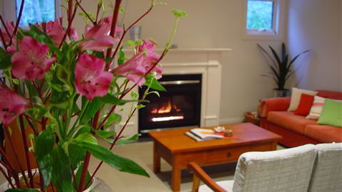Around About Lorne Studios Or B&B - Accommodation in Brisbane 4