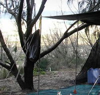Main Beach Foreshore Camping Grounds - Accommodation in Brisbane