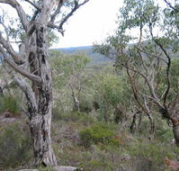 The Glen - Accommodation in Brisbane