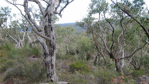 The Glen - Accommodation in Brisbane 0
