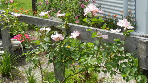 Willy's Holiday House - Accommodation in Brisbane 4