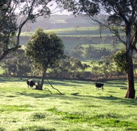 Bellevue Farmstay - Accommodation in Brisbane
