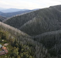 Howmans Gap Alpine Centre YMCA - Accommodation in Brisbane
