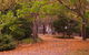 Griffins Hill Retreat - thumb 5