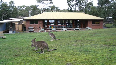 Grampians Retreat - Accommodation in Brisbane 1