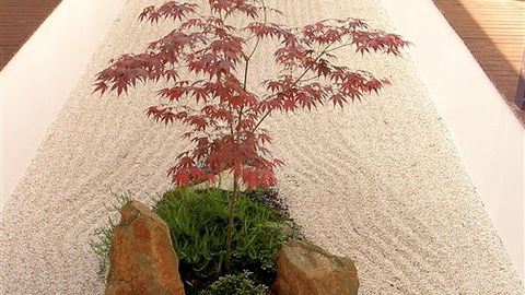 Shizuka Ryokan Japanese Country Spa & Wellness Retreat - Accommodation in Brisbane 6