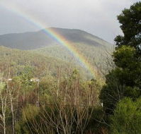 Wattletree Cottage - Accommodation in Brisbane