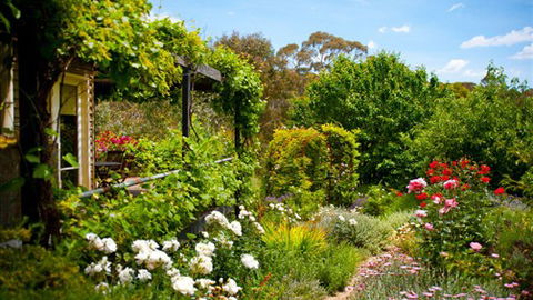 Kookaburra Ridge - Accommodation in Brisbane 3