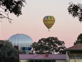 Barossa Valley Tourist Park - Accommodation in Brisbane 0