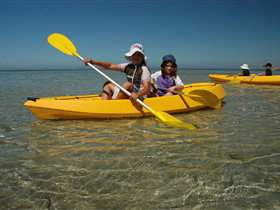 Ceduna Shelly Beach Caravan Park And Beachfront Villas - Accommodation in Brisbane 2