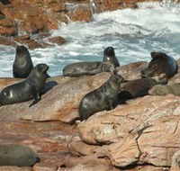 Yondah Beach House - Accommodation in Brisbane