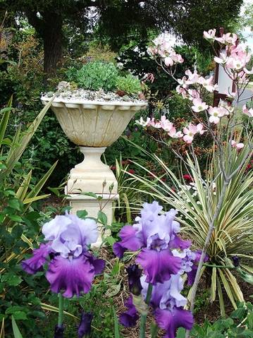 Admurraya House - Accommodation in Brisbane 2