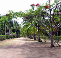 Alva Beach Tourist Park - Accommodation in Brisbane