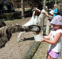 BIG4 Bairnsdale Holiday Park - Accommodation in Brisbane