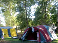 BIG4 Forbes Holiday Park - Accommodation in Brisbane 2