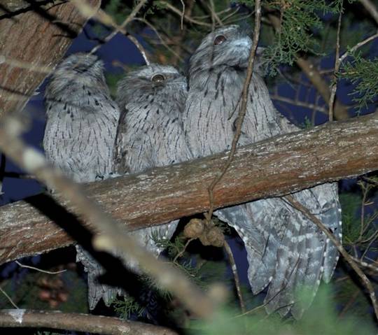  Accommodation in Brisbane